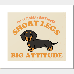 dachshund lovers short legs big attitude Posters and Art